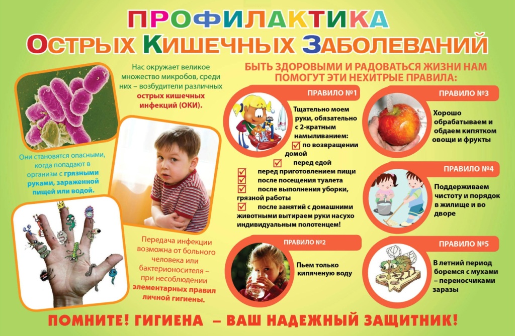 Контрольная работа по теме Кишечные инфекции у детей. Симптомы и профилактика в детском саду